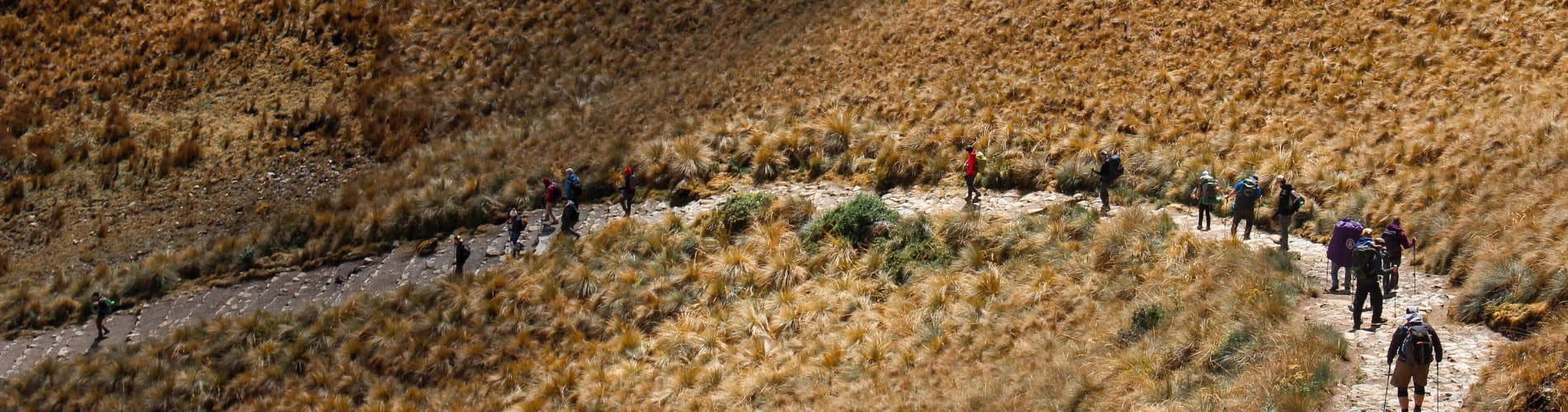 All You Need to Know About The Inca Trail to Machu Picchu