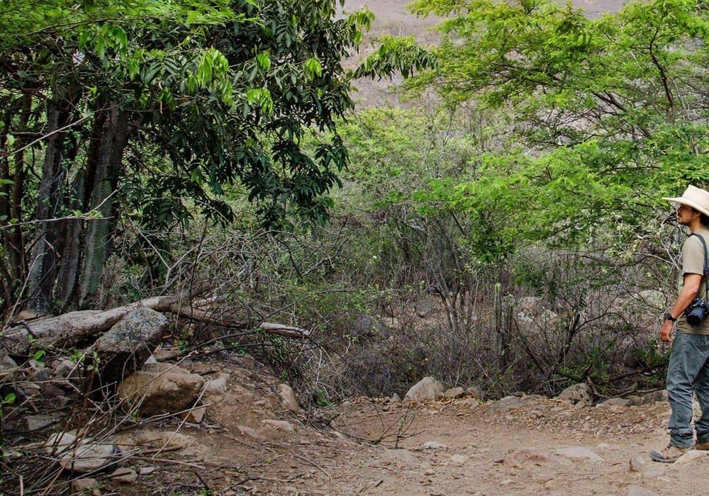 Chaparri Ecological Reserve