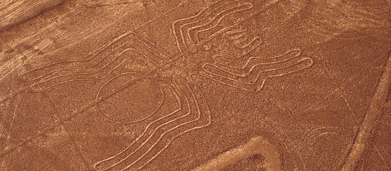 Airplane view of the Nazca line spider