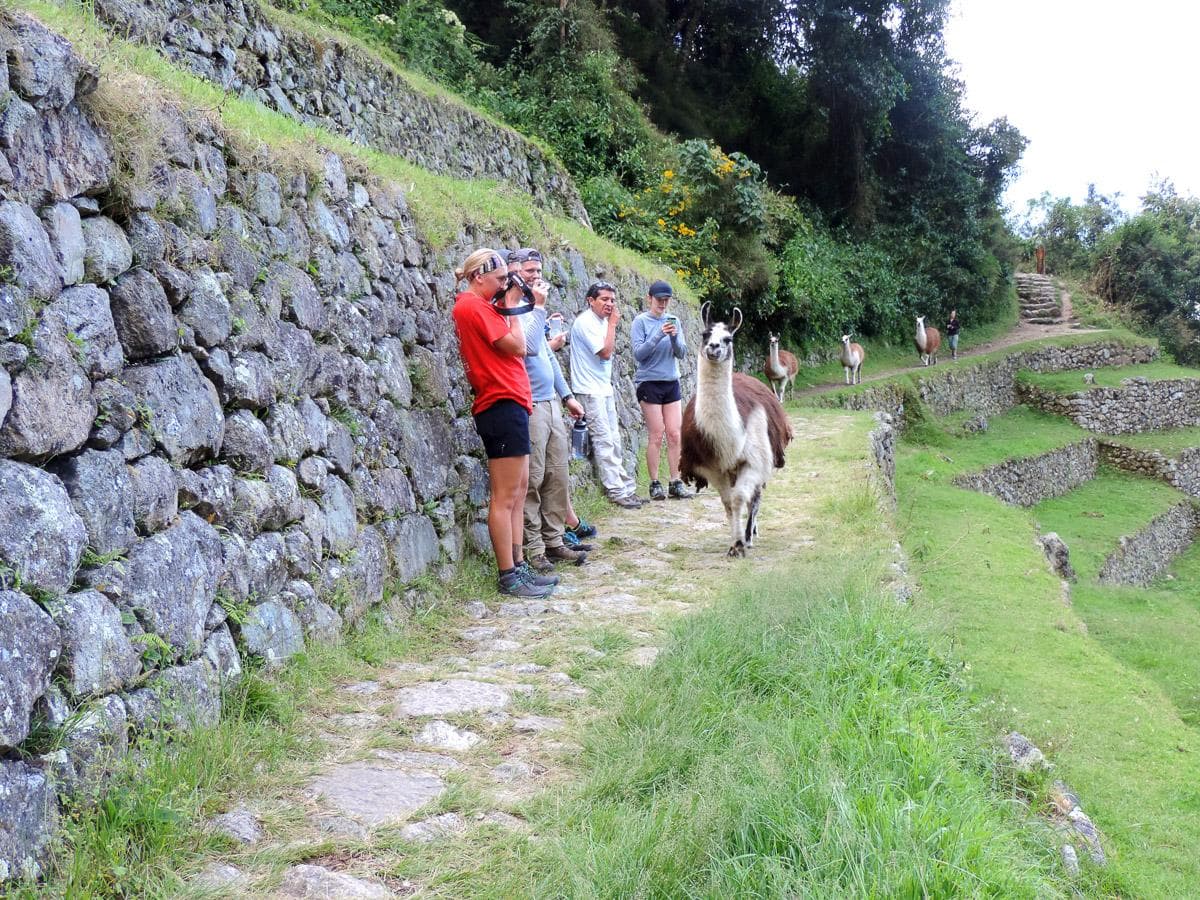 Short Inca Trail to Machu Picchu Chachabamaba ruins - Easy path