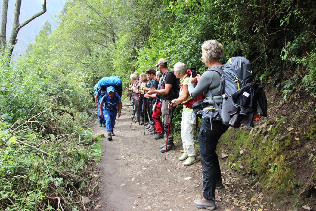 Trek along the Inca Trail