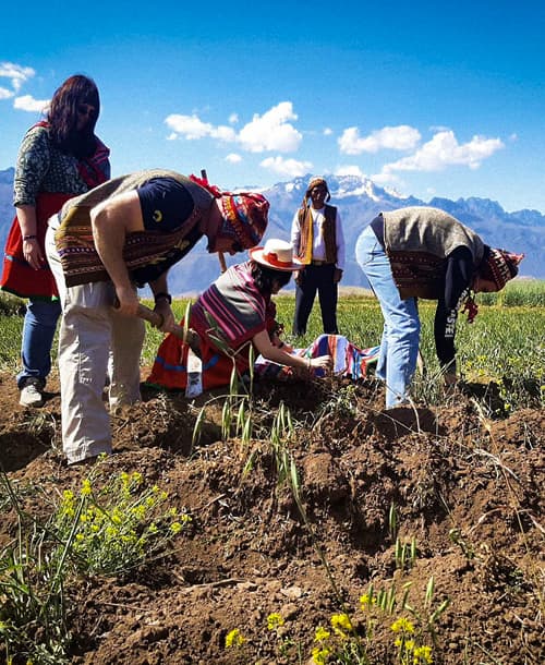 Cover Cultural Experiences