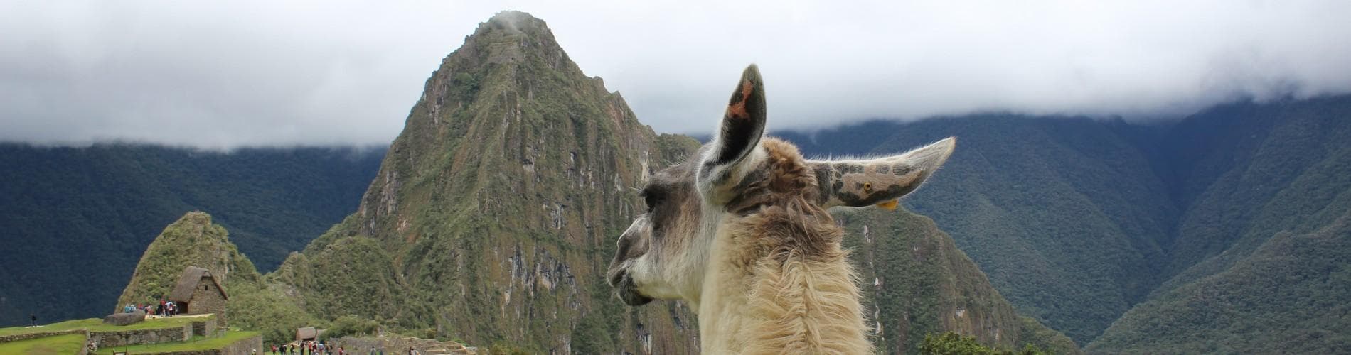 The current political situation in Peru (10/3/23)
